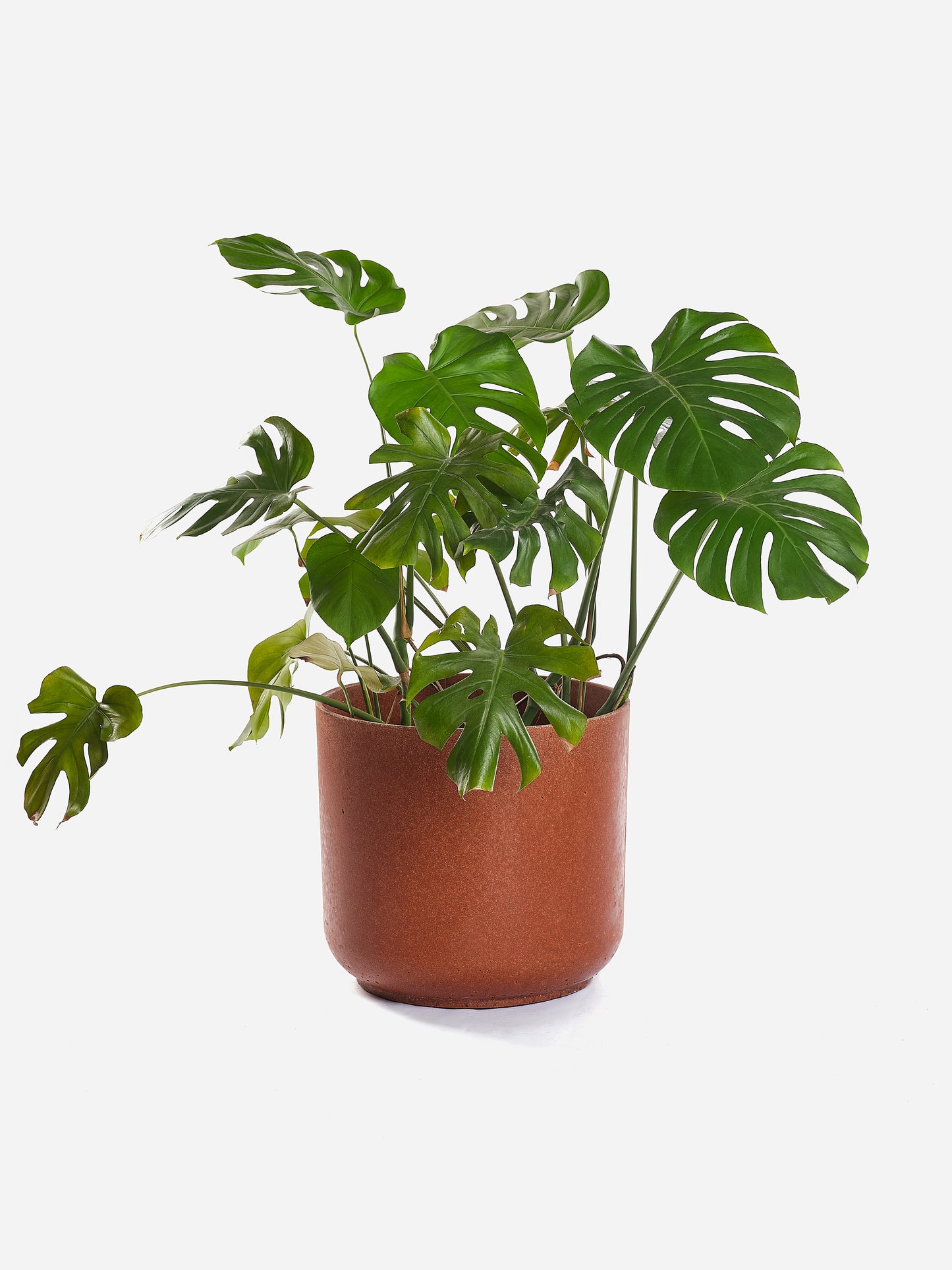 Echantillon Wasterial® brique