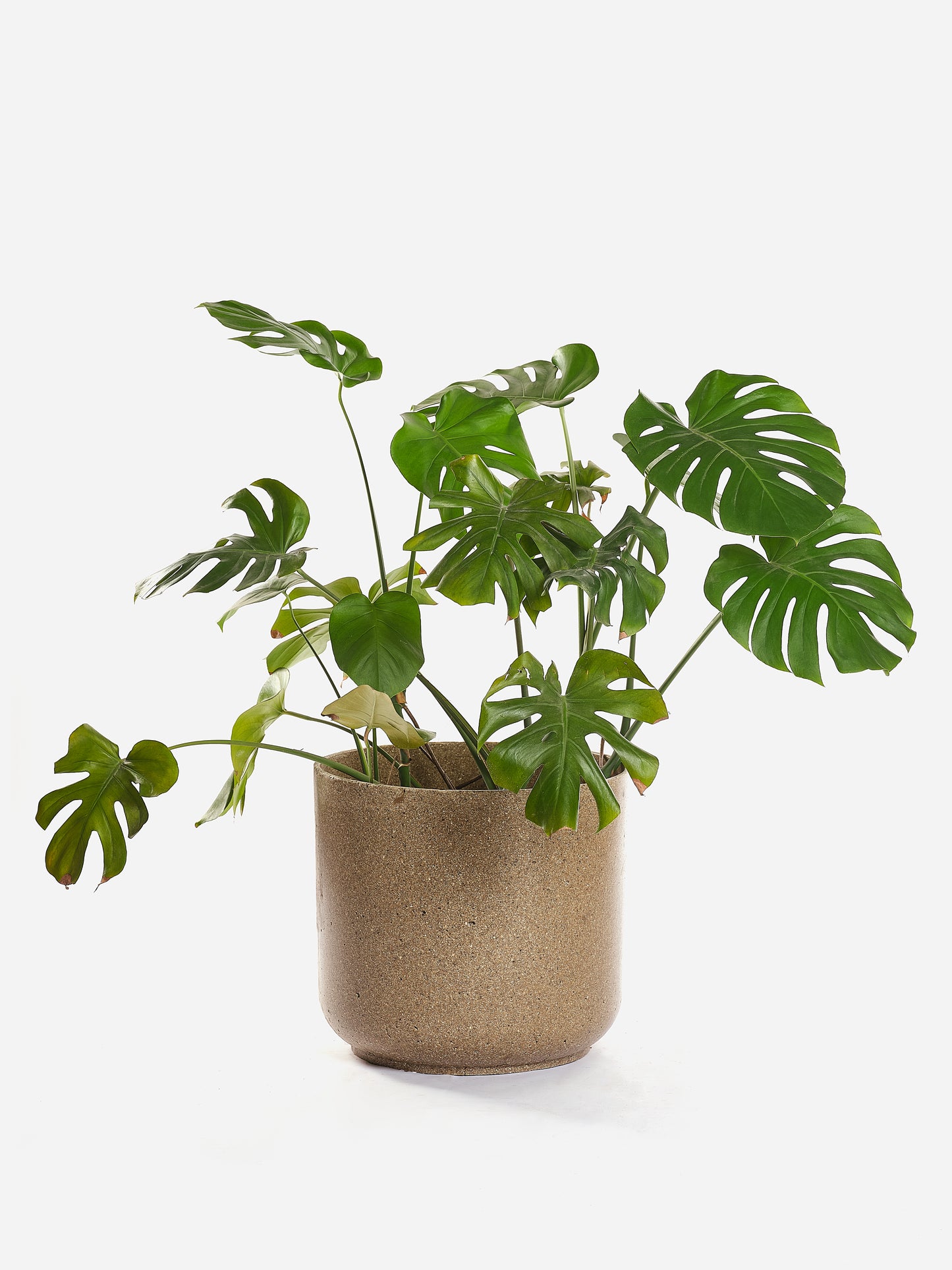 Pots