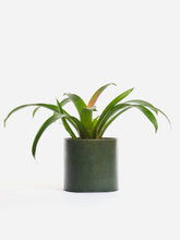 Charger l'image dans la galerie, Pots
